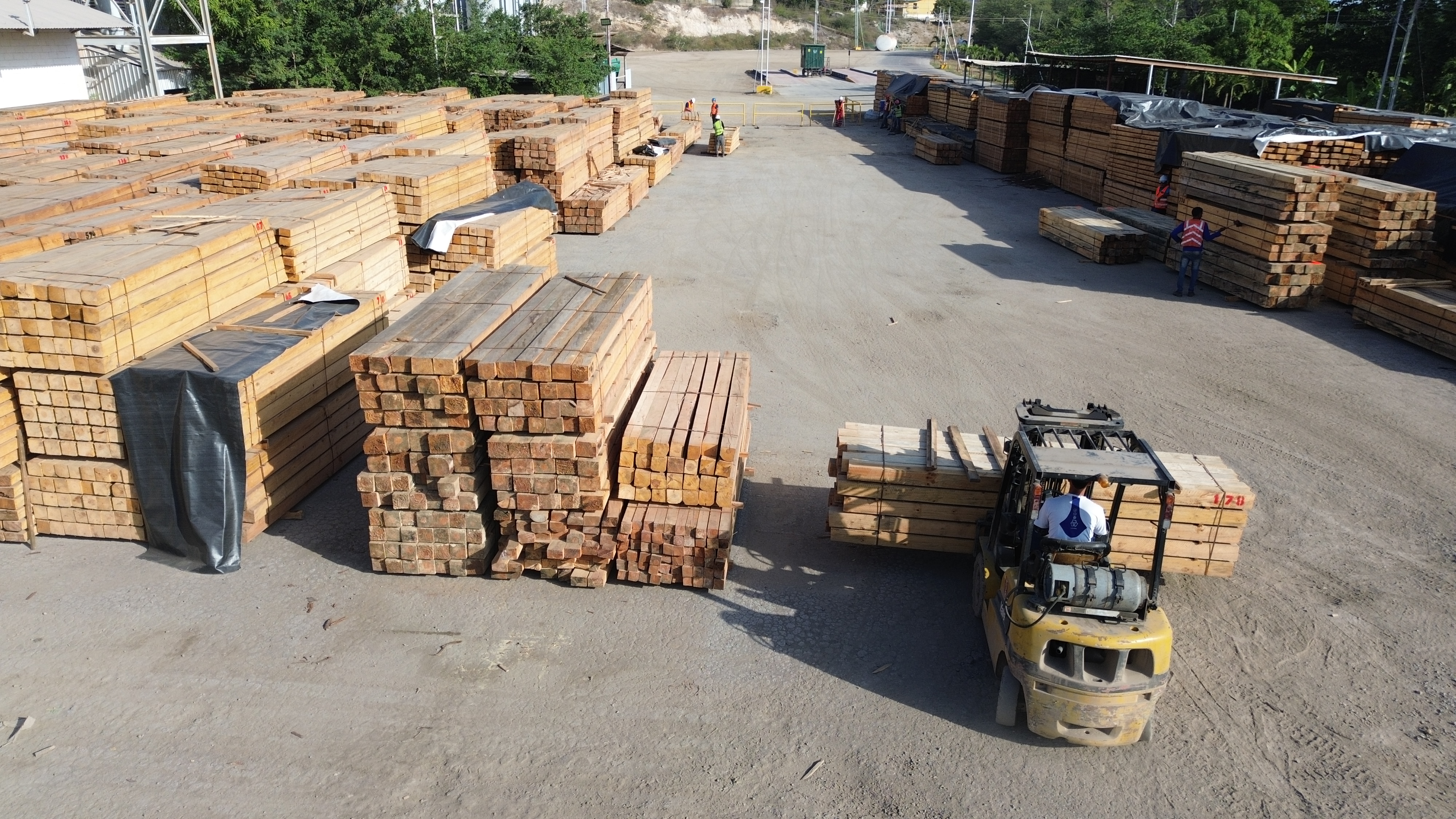 Madera en patio con montacargas
