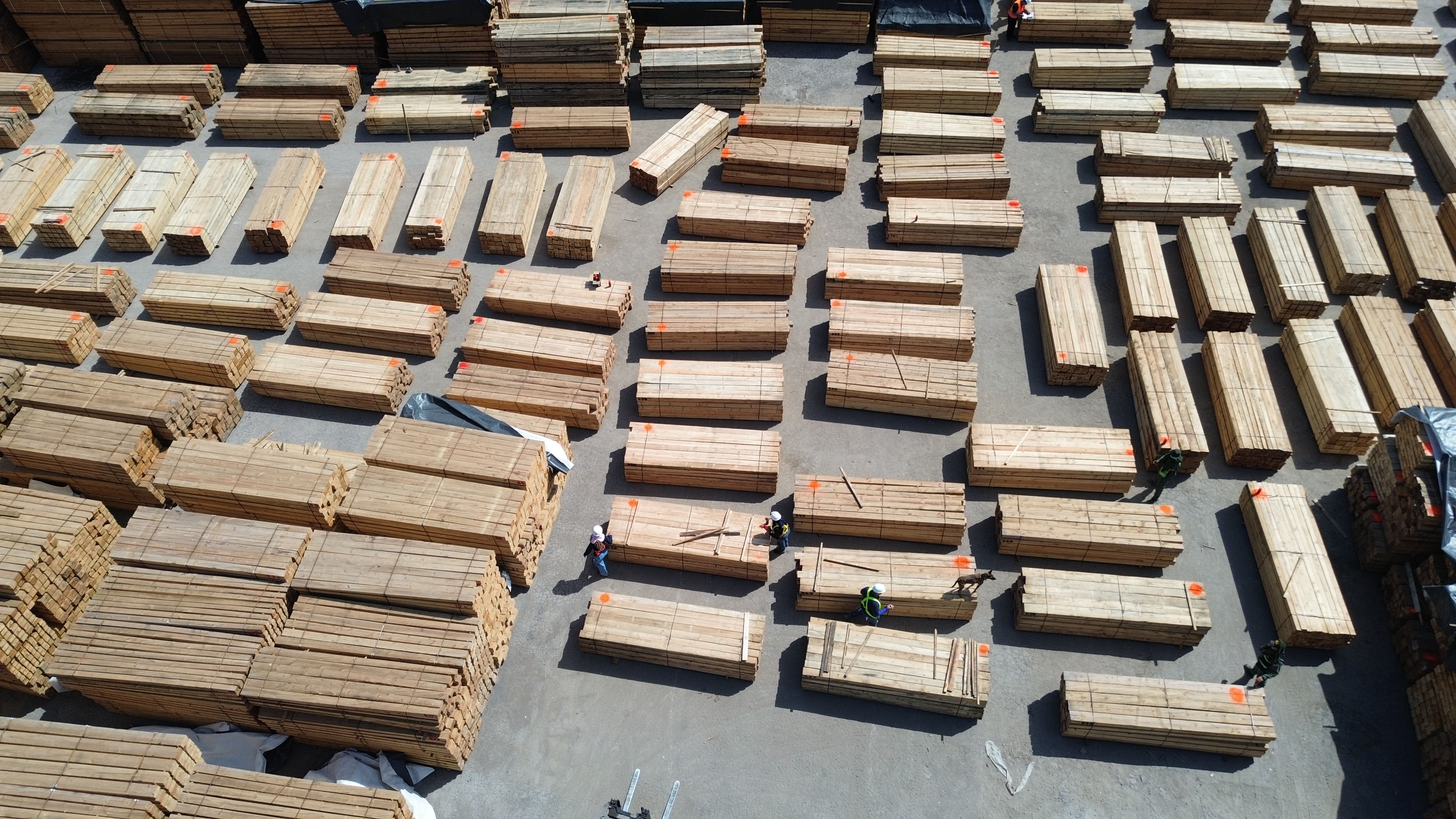 Madera apilada lista para exportación